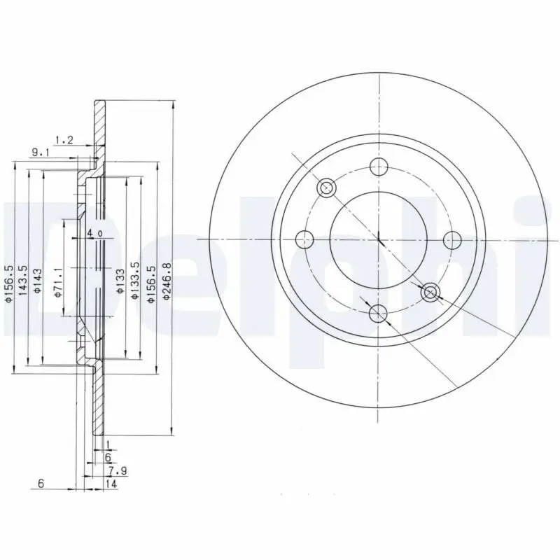 Bremsscheibe Hinterachse DELPHI BG2445