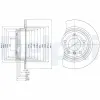 Bremsscheibe Hinterachse DELPHI BG3044 Bild Bremsscheibe Hinterachse DELPHI BG3044