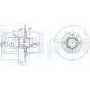 Bremsscheibe Hinterachse DELPHI BG3360