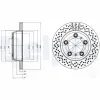 Bremsscheibe Hinterachse DELPHI BG4302C