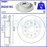 Bremsscheibe DELPHI BG5019C