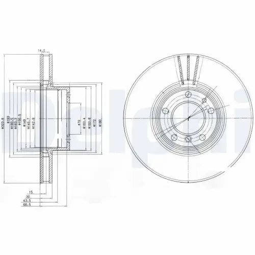 Bremsscheibe Vorderachse DELPHI BG9005 Bild Bremsscheibe Vorderachse DELPHI BG9005