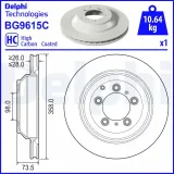 Bremsscheibe Hinterachse DELPHI BG9615C