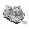 AGR-Ventil DELPHI EG10562-12B1