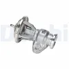 AGR-Ventil DELPHI EG10592-12B1