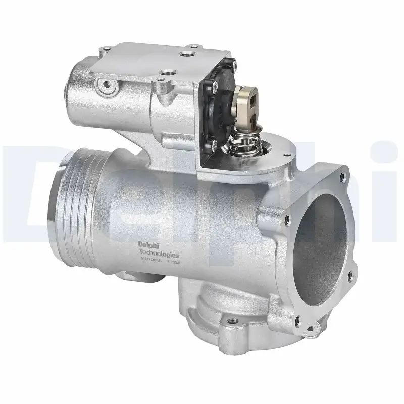 AGR-Ventil DELPHI EG10616-12B1