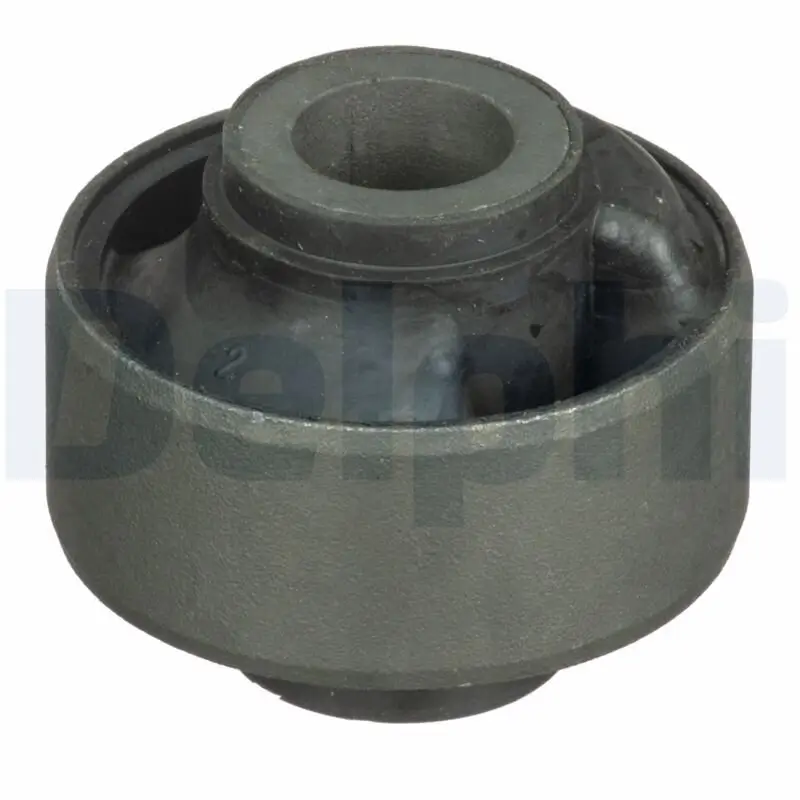 Lagerung, Lenker Vorderachse hinten innen DELPHI TD1646W