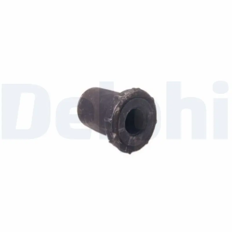 Lagerung, Blattfeder DELPHI TD2054W