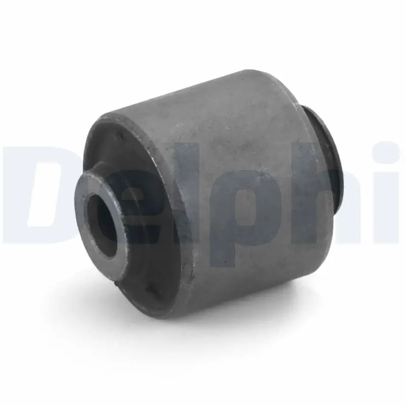 Lagerung, Lenker Vorderachse DELPHI TD2057W