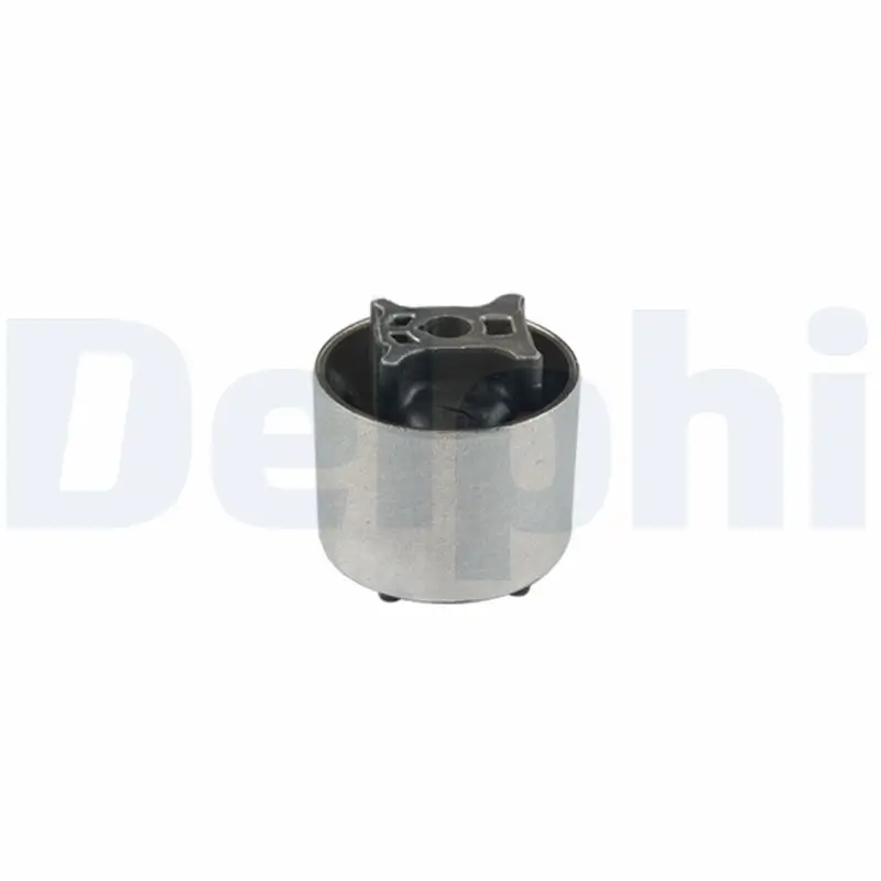 Lagerung, Lenker Vorderachse DELPHI TD2091W