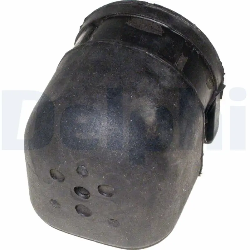 Lagerung, Lenker Vorderachse hinten unten DELPHI TD404W