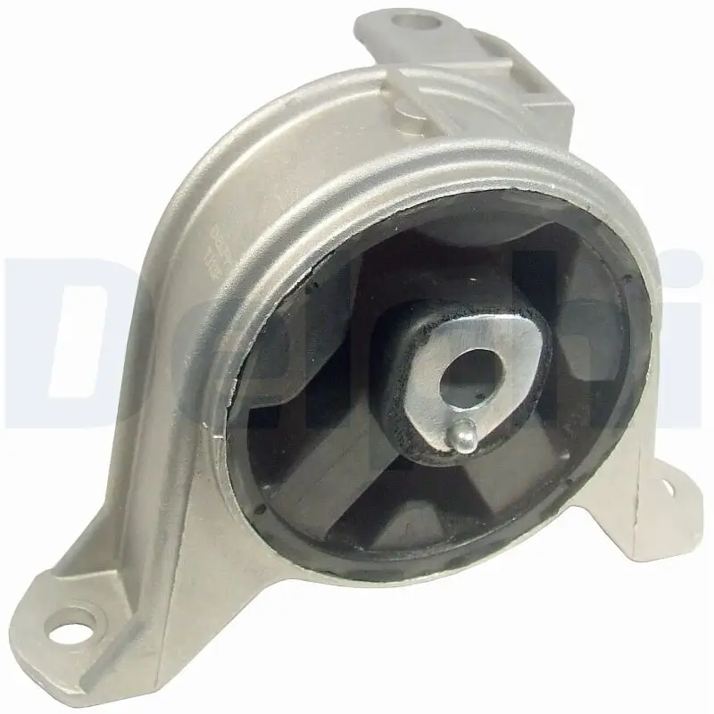 Lagerung, Motor DELPHI TEM003