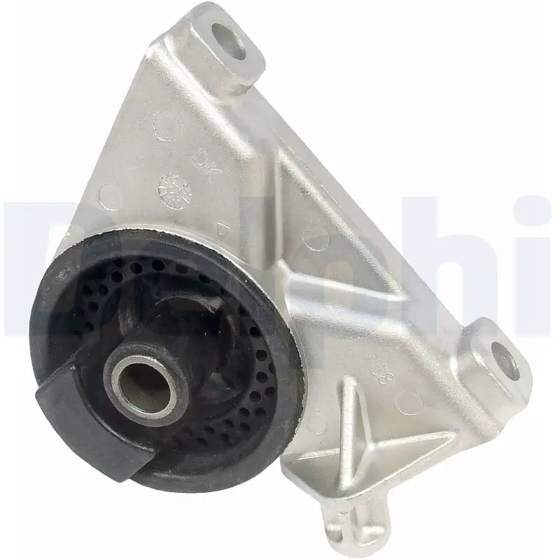 Lagerung, Motor hinten DELPHI TEM010