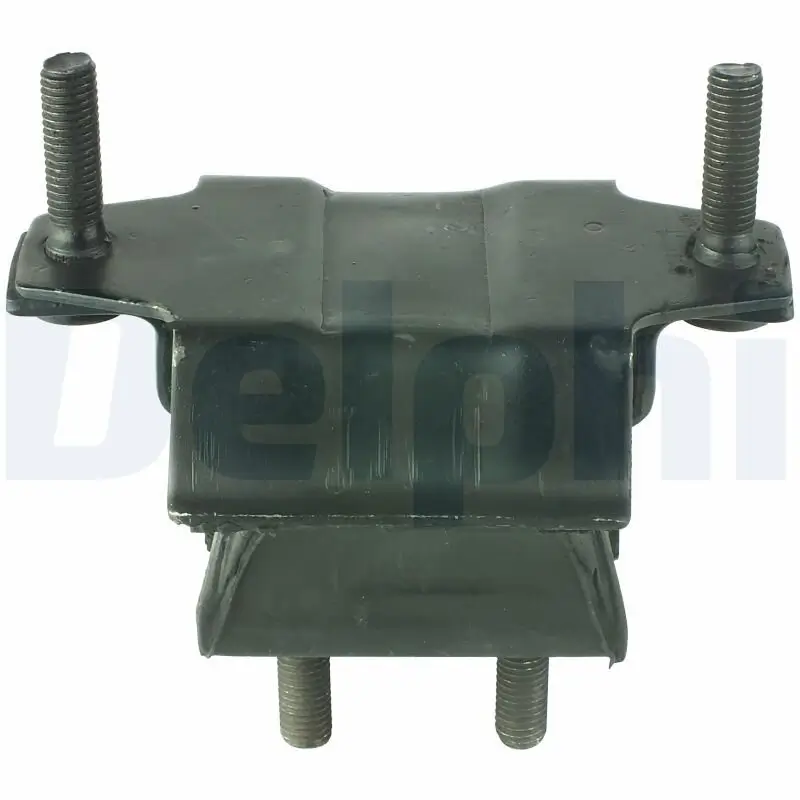 Lagerung, Motor DELPHI TEM022