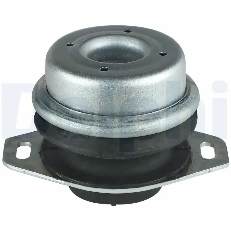 Lagerung, Motor links DELPHI TEM033