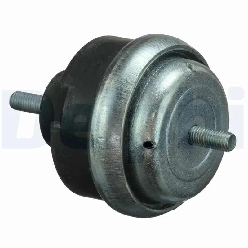 Lagerung, Motor vorne DELPHI TEM066