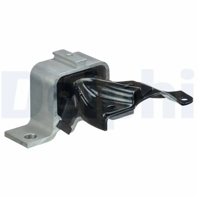 Lagerung, Motor vorne DELPHI TEM083