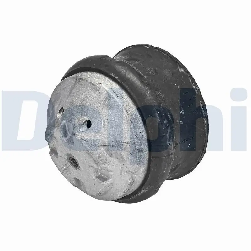 Lagerung, Motor vorne DELPHI TEM132