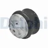 Lagerung, Motor vorne DELPHI TEM132 Bild Lagerung, Motor vorne DELPHI TEM132