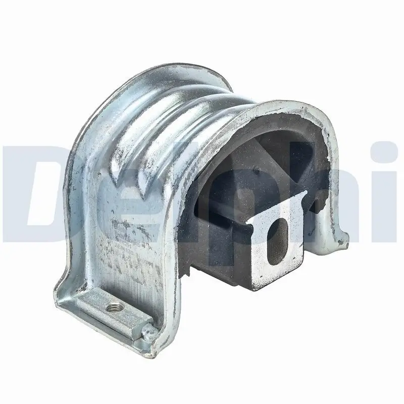 Lagerung, Motor vorne DELPHI TEM139