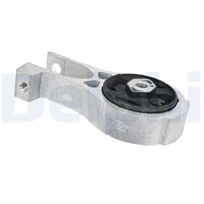 Lagerung, Motor hinten DELPHI TEM141