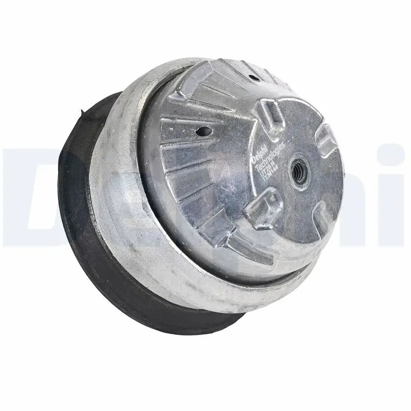 Lagerung, Motor vorne DELPHI TEM144