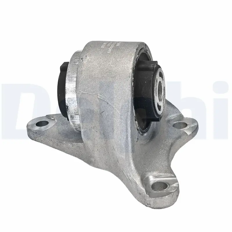 Lagerung, Motor links DELPHI TEM160