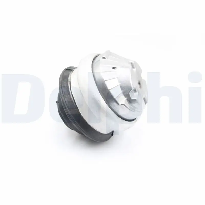 Lagerung, Motor links DELPHI TEM168