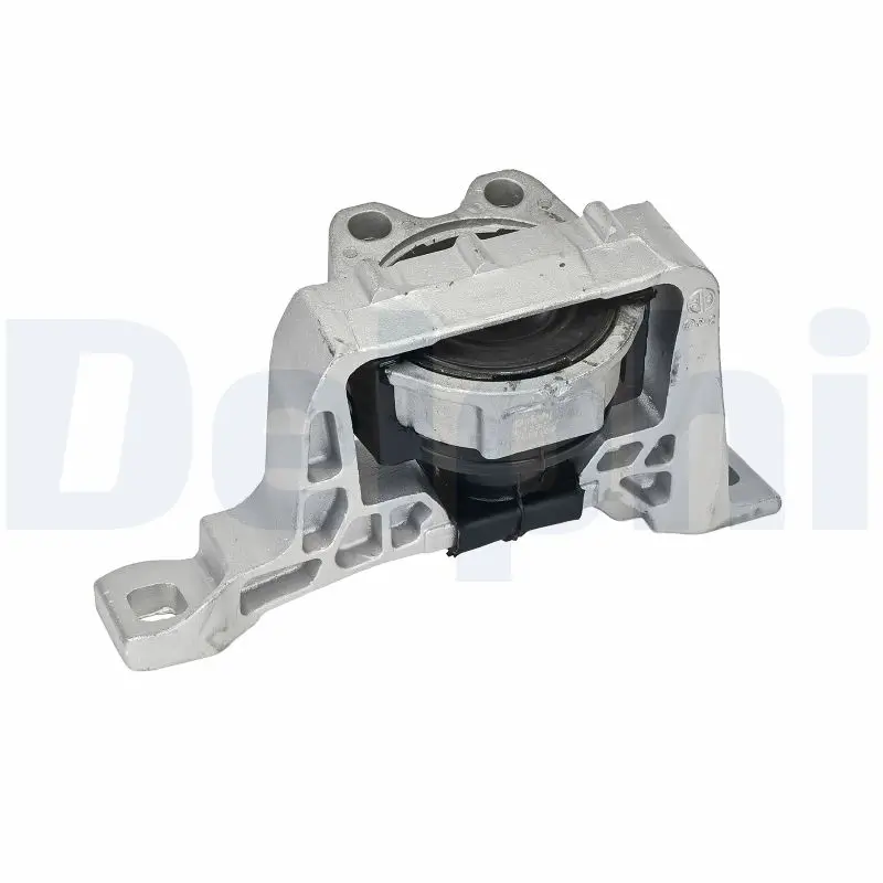 Lagerung, Motor rechts DELPHI TEM169