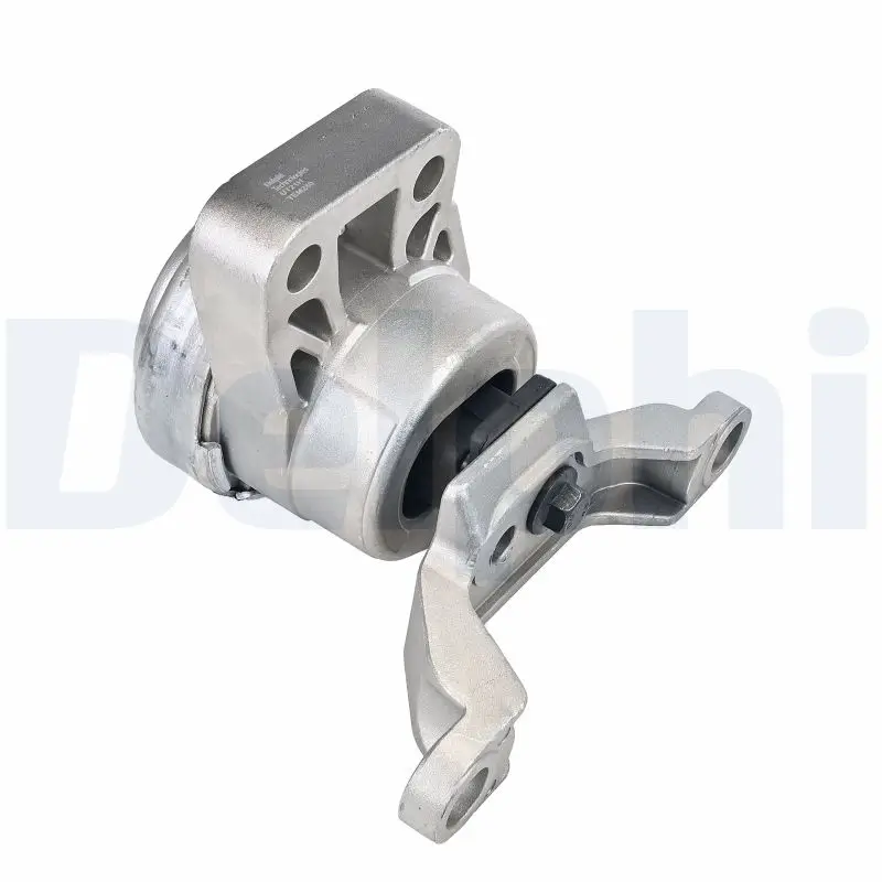 Lagerung, Motor rechts DELPHI TEM240