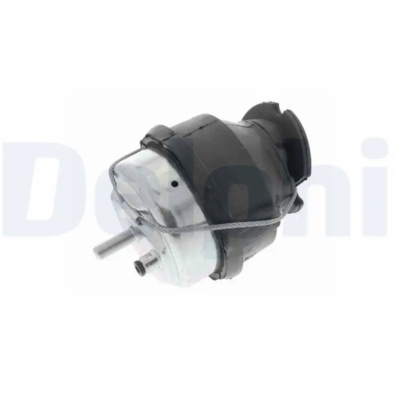 Lagerung, Motor hinten DELPHI TEM248
