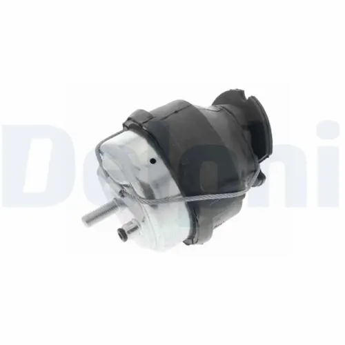 Lagerung, Motor hinten DELPHI TEM248 Bild Lagerung, Motor hinten DELPHI TEM248