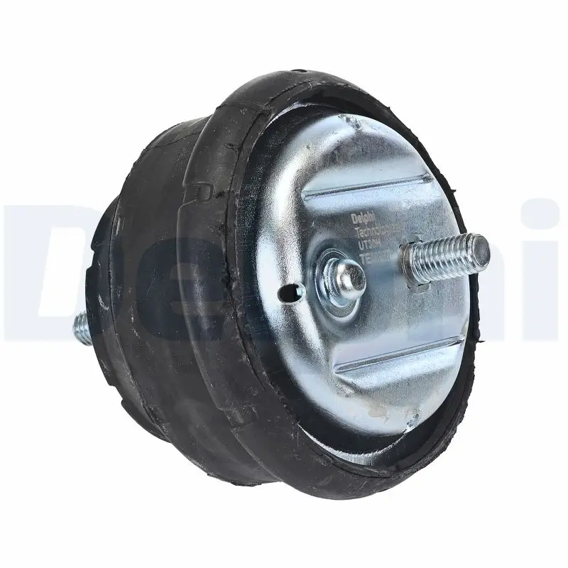 Lagerung, Motor links DELPHI TEM257