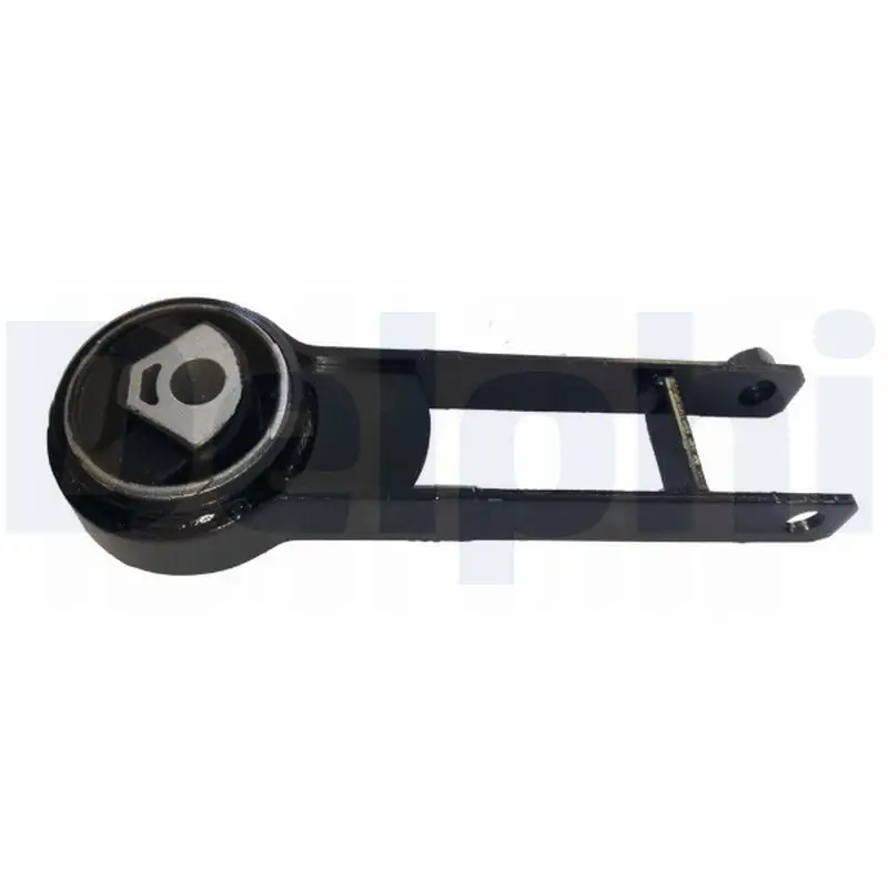 Lagerung, Motor DELPHI TEM268