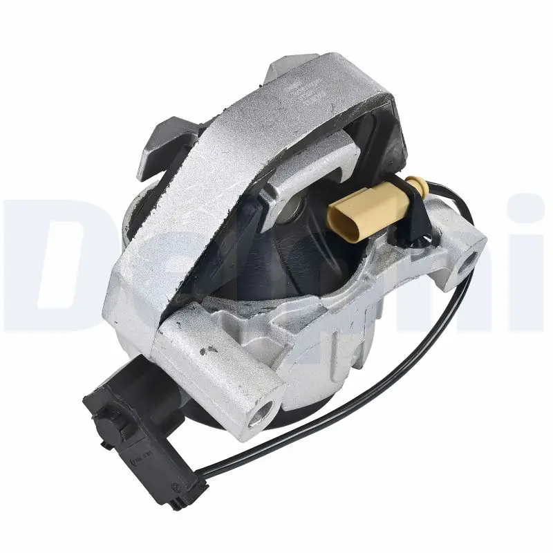 Lagerung, Motor vorne DELPHI TEM289