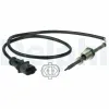 Sensor, Abgastemperatur DELPHI TS30007