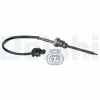 Sensor, Abgastemperatur DELPHI TS30049