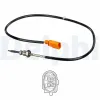 Sensor, Abgastemperatur DELPHI TS30139
