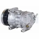 Kompressor, Klimaanlage DELPHI TSP0155466