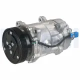 Kompressor, Klimaanlage DELPHI TSP0159058