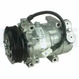 Kompressor, Klimaanlage DELPHI TSP0159273