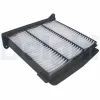 Filter, Innenraumluft DELPHI TSP0325261 Bild Filter, Innenraumluft DELPHI TSP0325261