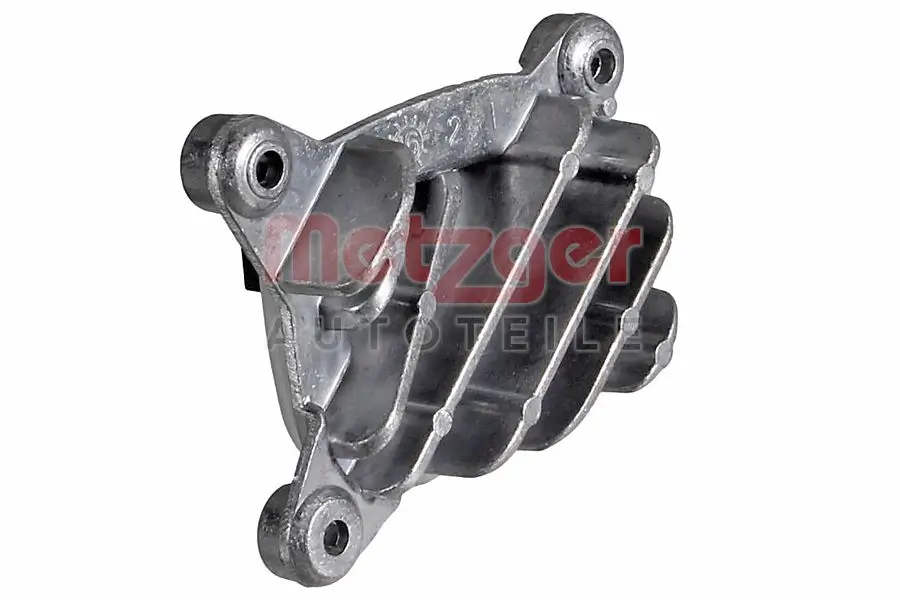 Steuergerät, Beleuchtung 12 V vorne links METZGER AUTOTEILE 0896668