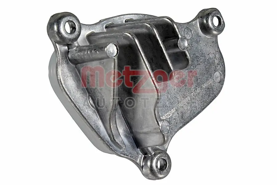 Steuergerät, Beleuchtung 12 V vorne links METZGER AUTOTEILE 0896695