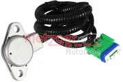 Sensor, Öldruck METZGER 0906470