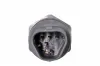 Sensor, Öltemperatur/-druck Ölfiltergehäuse METZGER AUTOTEILE 0906570 Bild Sensor, Öltemperatur/-druck Ölfiltergehäuse METZGER AUTOTEILE 0906570