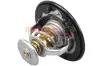 Thermostat, Kühlmittel METZGER AUTOTEILE 4006434