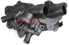 Wasserpumpe, Motorkühlung METZGER AUTOTEILE 4007019