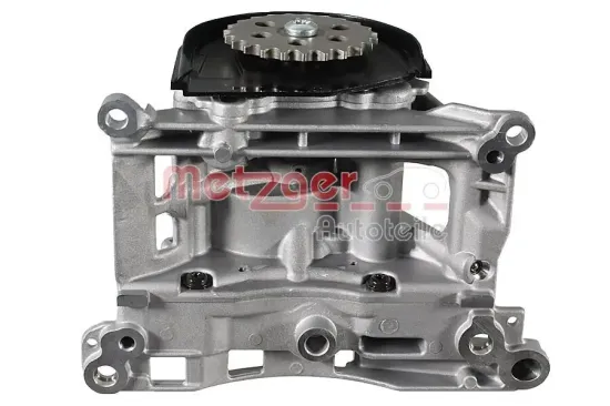 Unterdruckpumpe, Bremsanlage METZGER AUTOTEILE 8000061 Bild Unterdruckpumpe, Bremsanlage METZGER AUTOTEILE 8000061