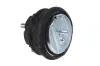 Lagerung, Motor beidseitig METZGER AUTOTEILE 8050133
